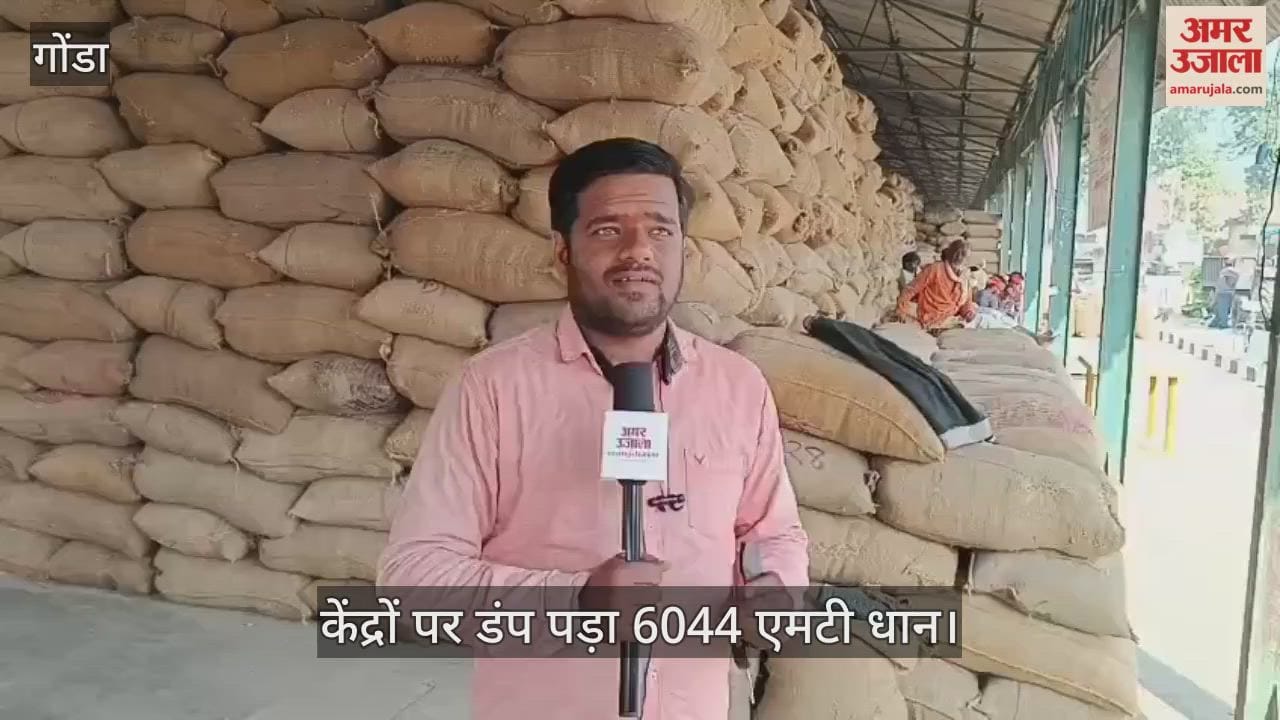 गोंडा में केंद्रों पर डंप पड़ा 6044 एमटी धान, ठप होने की कगार पर खरीद