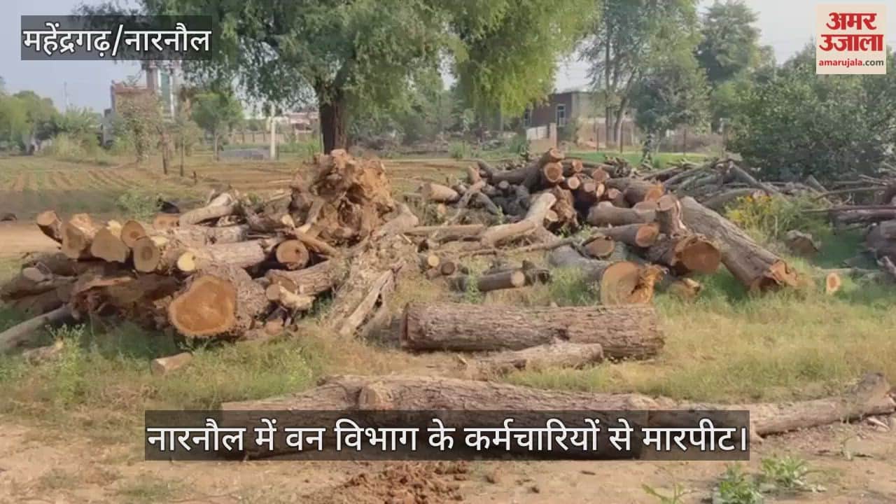 Forest department employees beaten up in Narnaul