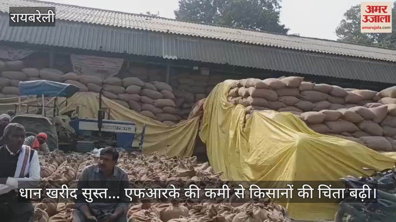 रायबरेली में धान खरीद सुस्त, एफआरके की कमी से किसानों की चिंता बढ़ी