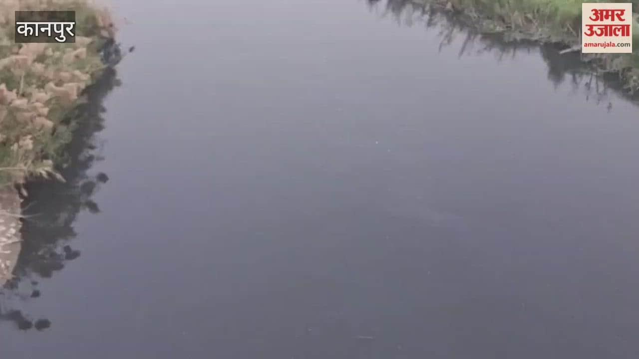 Farmers are troubled by the foul-smelling, contaminated water of the Pandu River