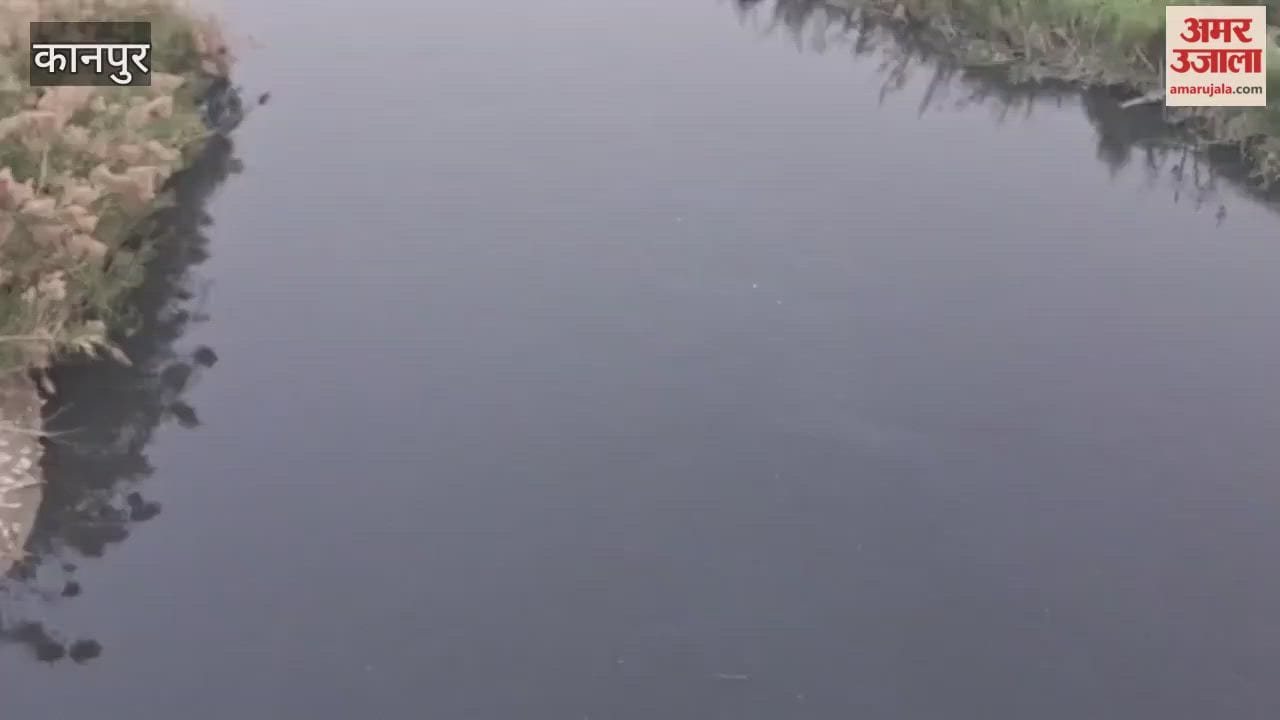 Farmers are troubled by the foul-smelling, contaminated water of the Pandu River