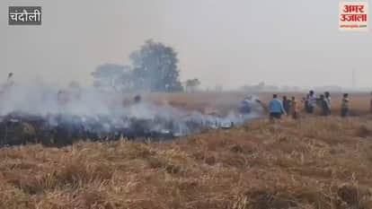 five acres of paddy crop burned to ashes after fire engulfed them in chandauli