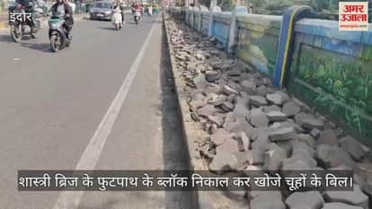 शास्त्री ब्रिज के फुटपाथ के ब्लाॅक निकाल कर खोजे चूहों के बिल