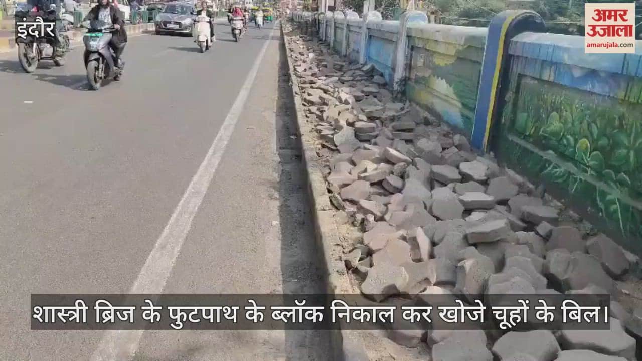 शास्त्री ब्रिज के फुटपाथ के ब्लाॅक निकाल कर खोजे चूहों के बिल