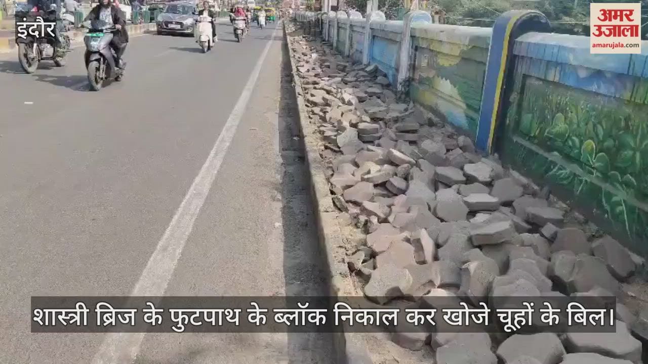 शास्त्री ब्रिज के फुटपाथ के ब्लाॅक निकाल कर खोजे चूहों के बिल