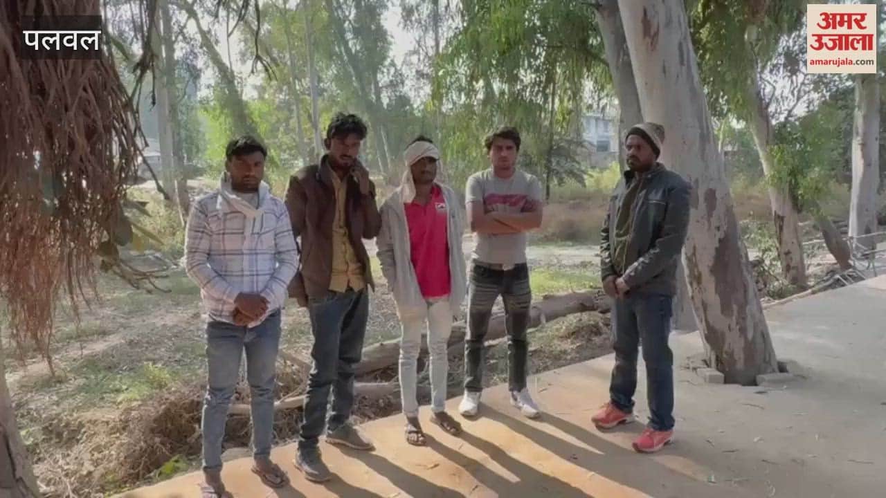 Two elderly people died in Nilgai collision with auto in Palwal