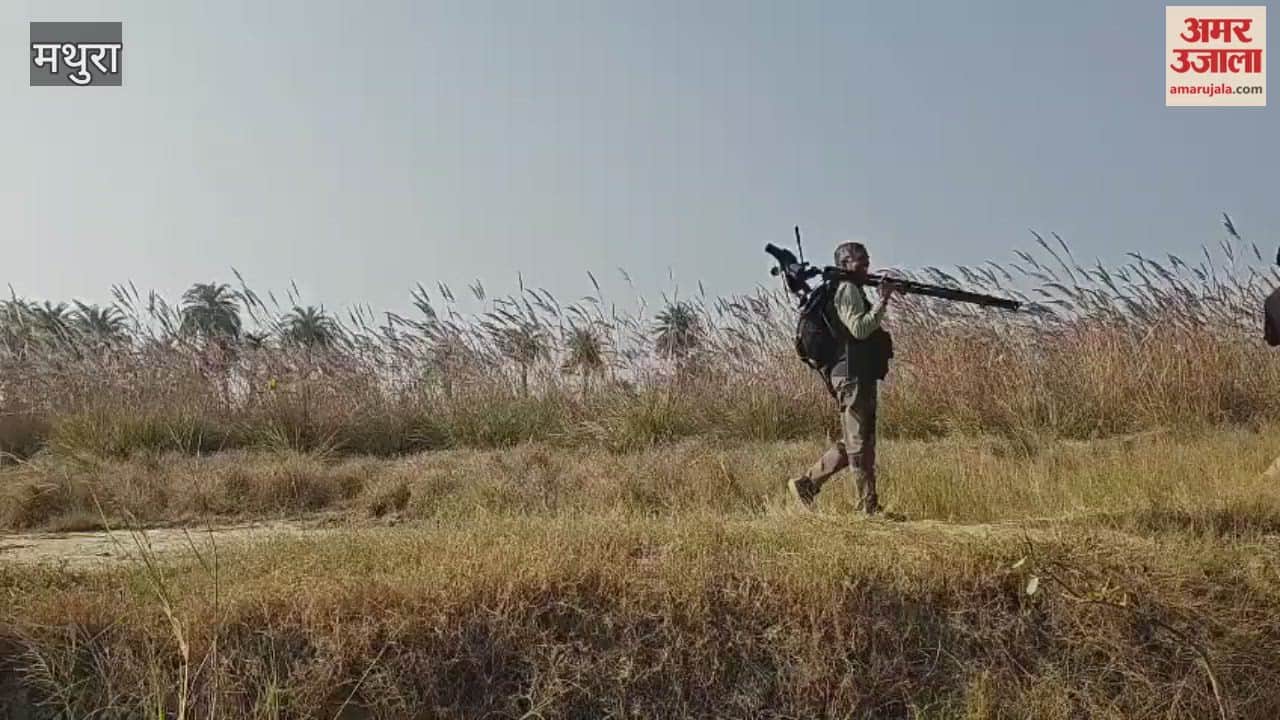 team of forest officials reached Jodhpur Jhal to know activities of migratory birds