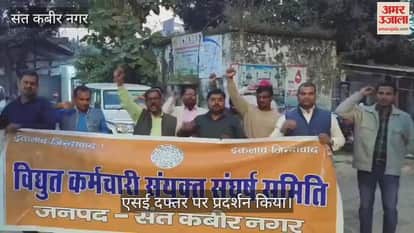 Electricity workers protest against privatisation