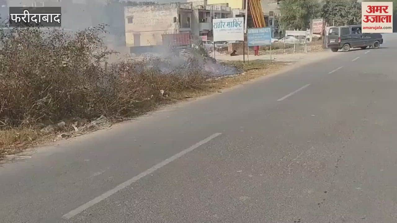 Fire broke out in bushes of Grill Belt in Faridabad
