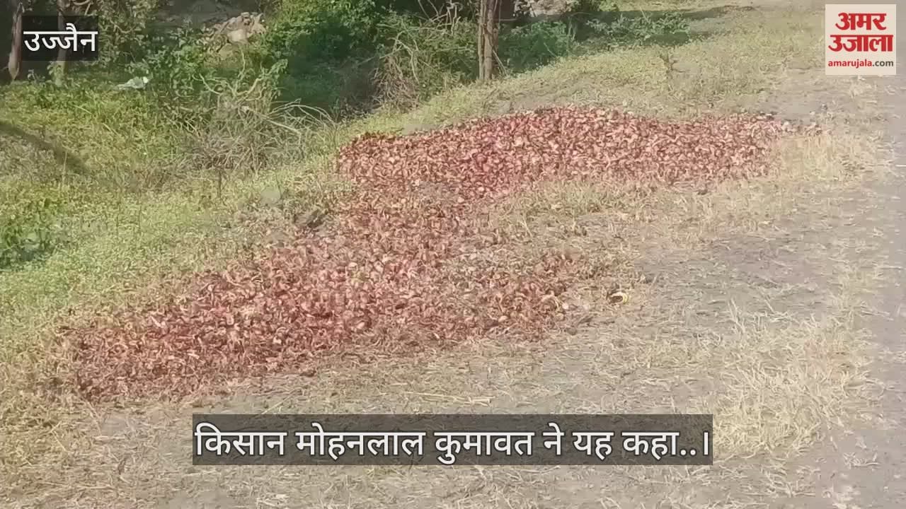 Ujjain News: Farmers in Ujjain throw their crops onto the road.