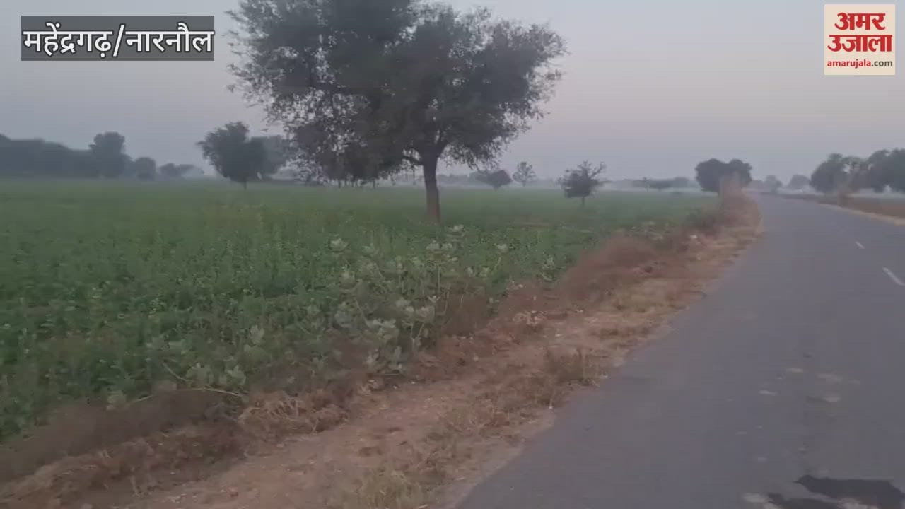 Narnaul witnesses severe cold for the fourth consecutive day, with the mercury settling at 4.6 degrees