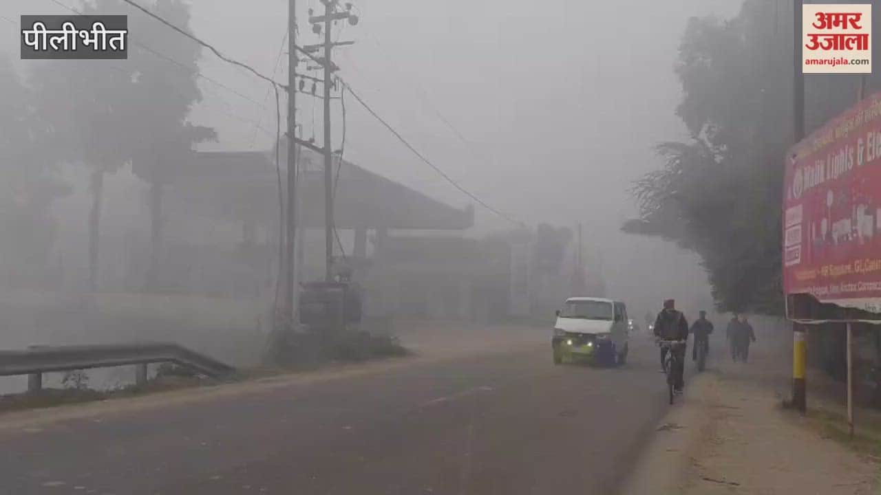 Dense fog prevailed in the Terai region in Pilibhit