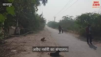 कानपुर: वन विभाग की तीन साल से अतिक्रमित जमीन पर चल रही अवैध पौध नर्सरी