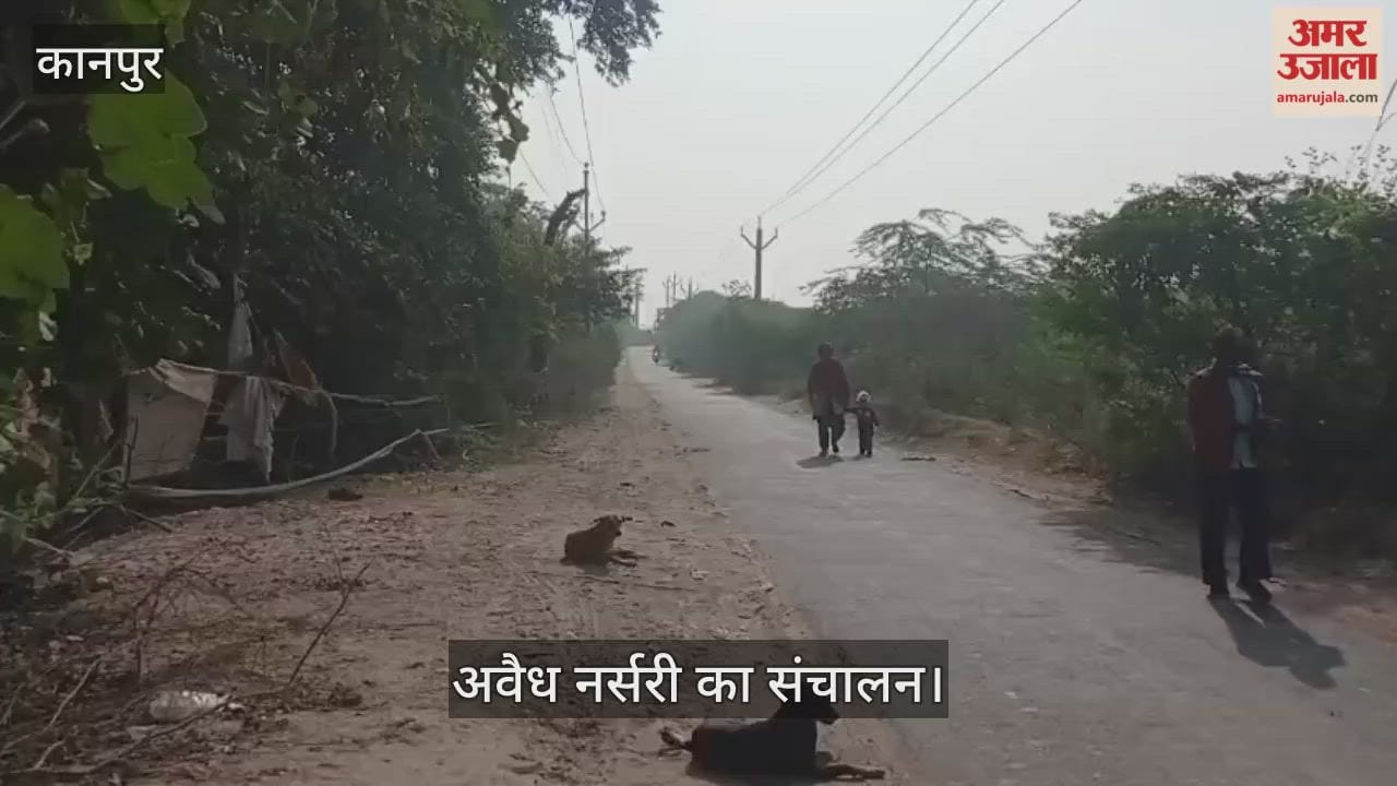कानपुर: वन विभाग की तीन साल से अतिक्रमित जमीन पर चल रही अवैध पौध नर्सरी