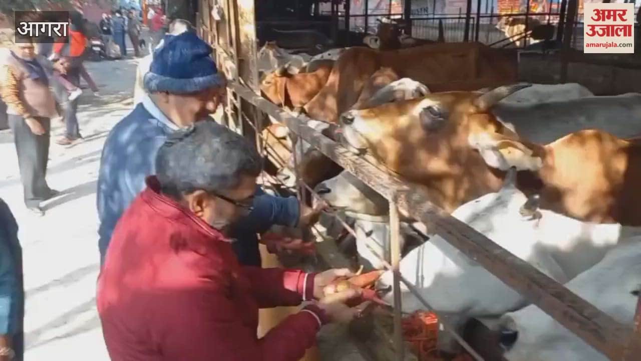 Cow Protection Service Committee created awareness by organizing procession