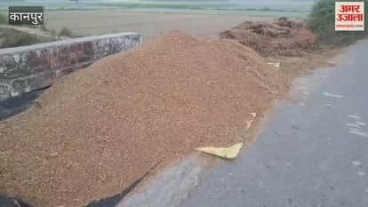 Fodder crisis in Bhitargaon area, price of pyra rises, farmers are feeding them by making straw