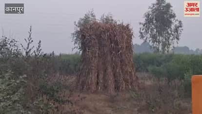 The price of a load of Karbi exceeds 50 rupees, causing distress to cattle herders