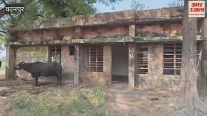 Bauhar's sub-health center has become a ruin, thieves have even uprooted the windows