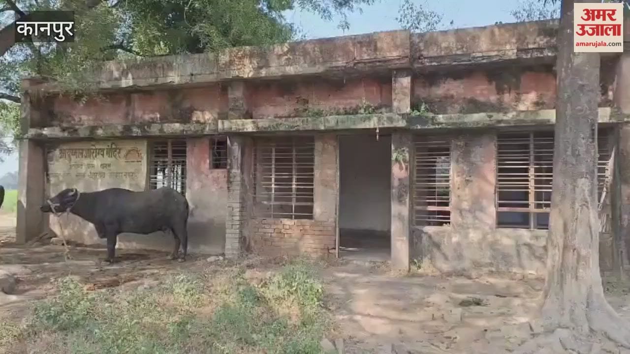 Bauhar's sub-health center has become a ruin, thieves have even uprooted the windows