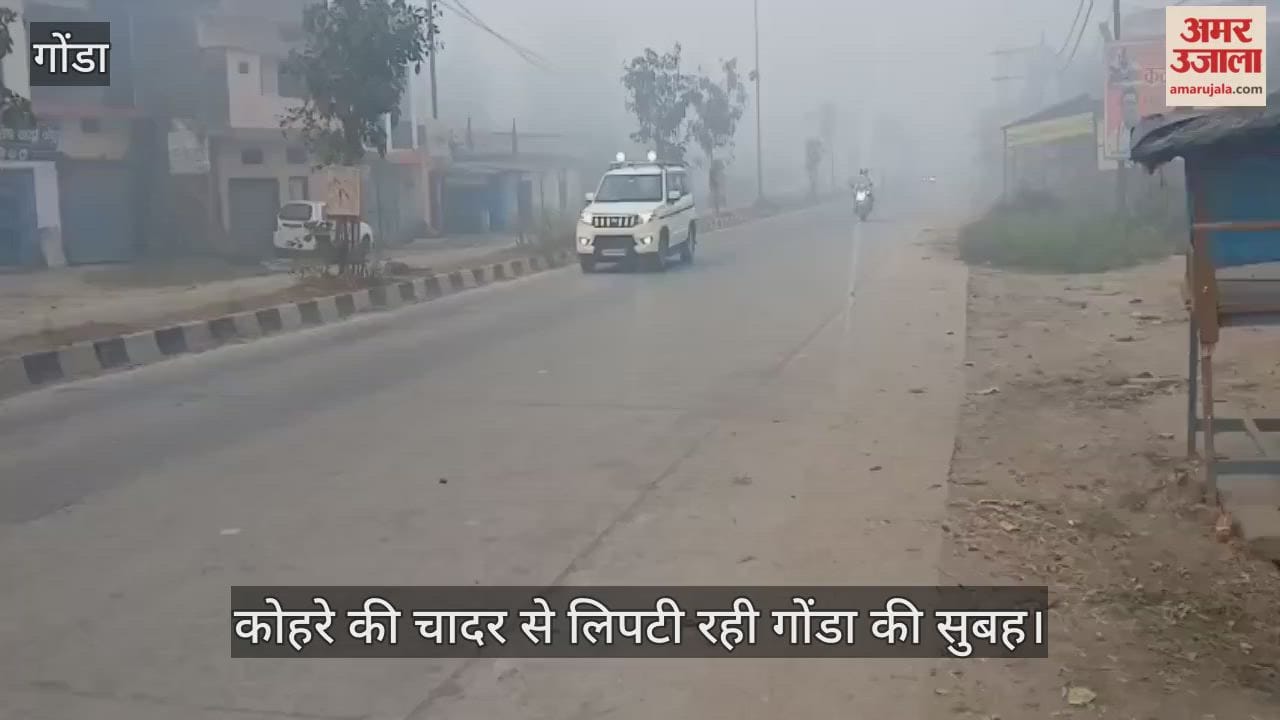 कोहरे की चादर से लिपटी रही गोंडा की सुबह, सड़क पर रेंगे वाहन
