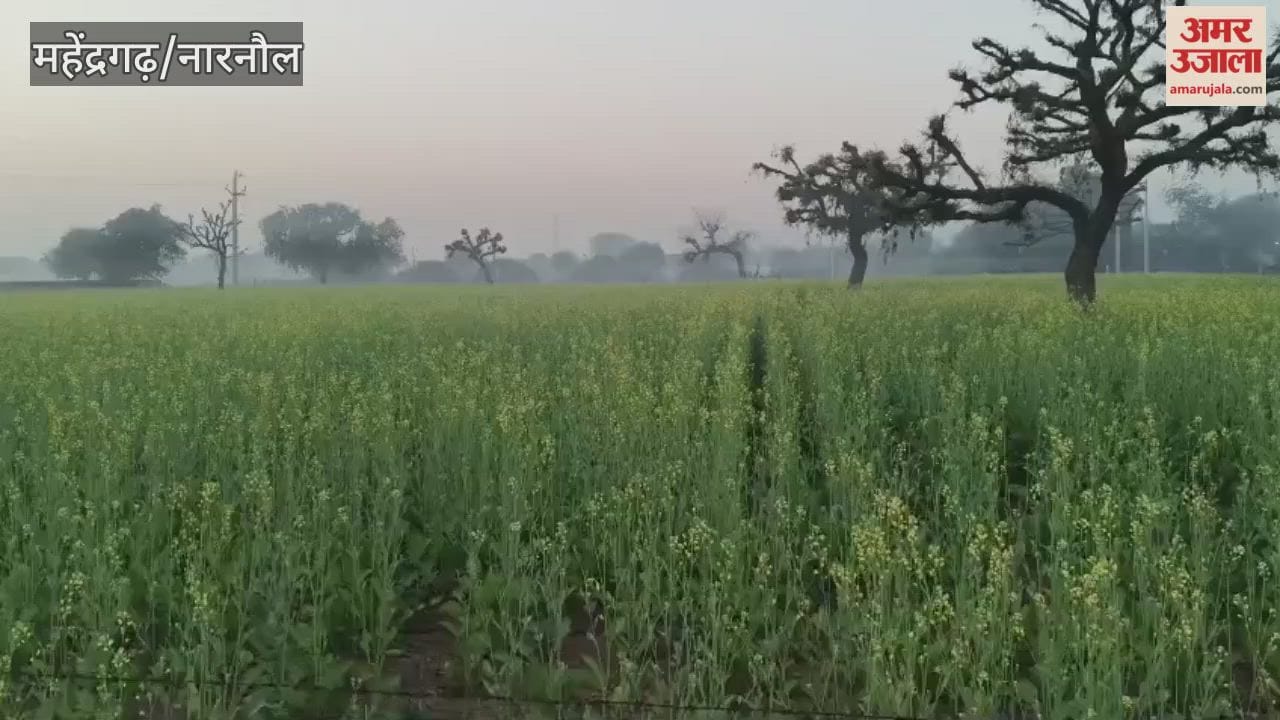 Narnaul gets relief from cold as temperature drops to 1.02 degrees Celsius in two days