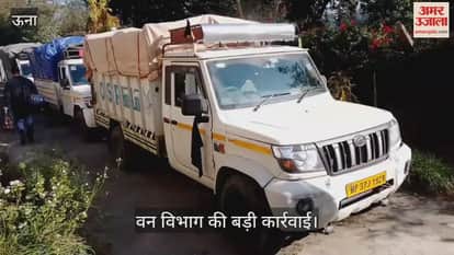 Forest department takes major action, seizes three pickup trucks along with banned wood