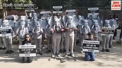 Supporters of PETA India and GoSharper took to the streets at Jantar Mantar