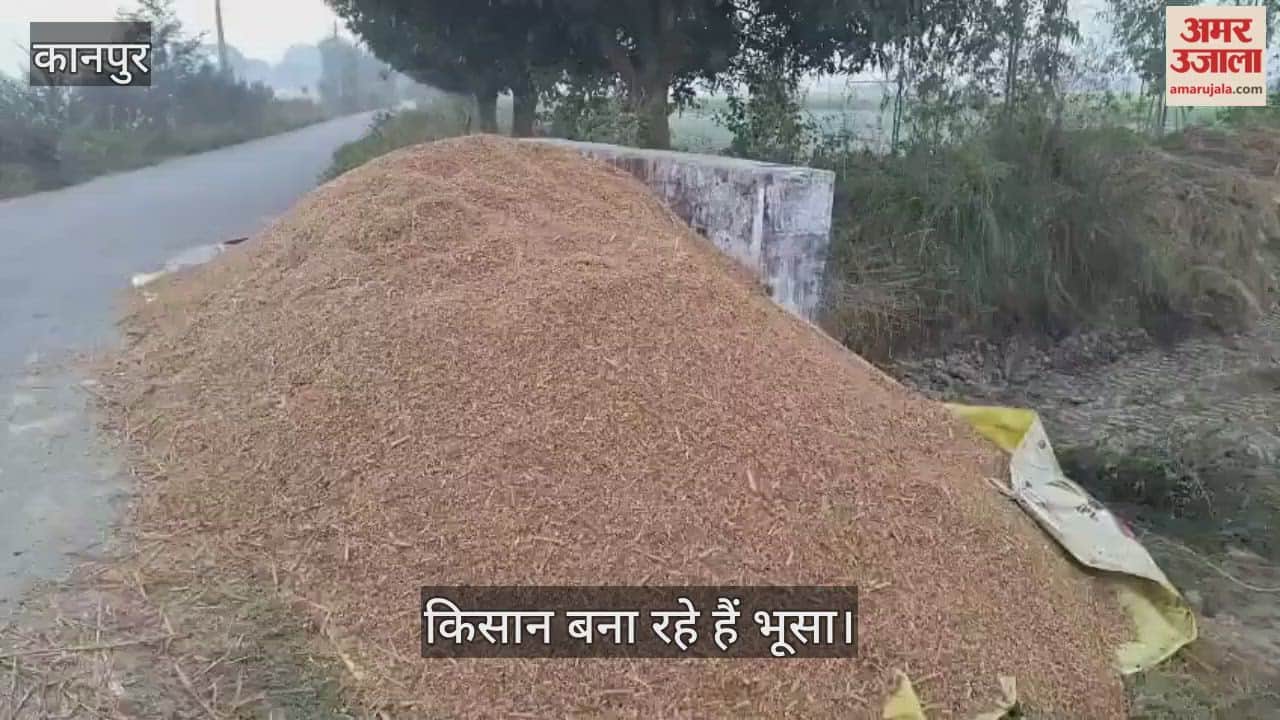 कानपुर: लगातार बारिश से चारे का संकट, भीतरगांव में धान के पायरे का दाम बढ़ा