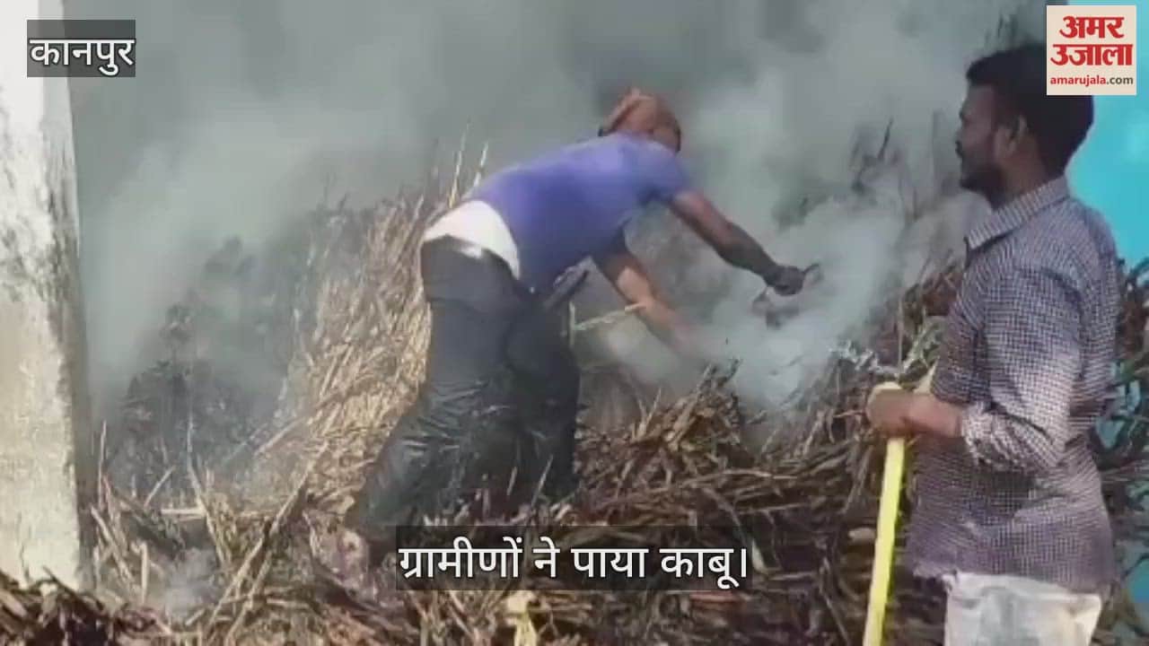 कानपुर: अचानक लगी आग से 20 हजार रुपये का चारा जला]  बौहारा गांव में चार किसानों को भारी नुकसान