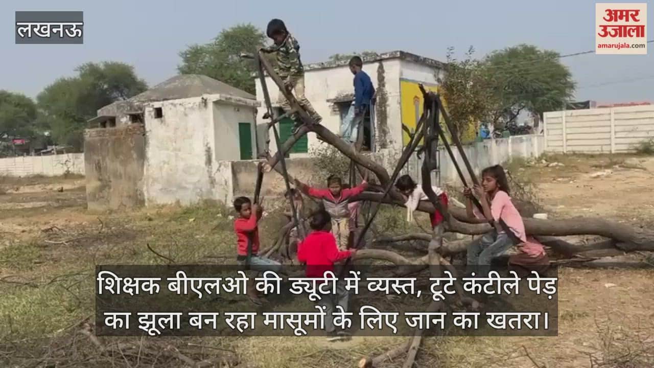 Video : शिक्षक बीएलओ की ड्यूटी में व्यस्त, टूटे कंटीले पेड़ का झूला बन रहा मासूमों के लिए जान का खतरा