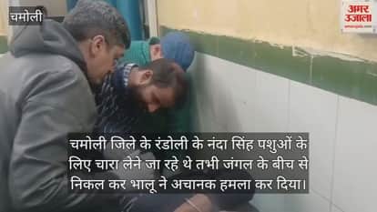 Bear in Adibadri Radoli village severely injured a man Chamoli News