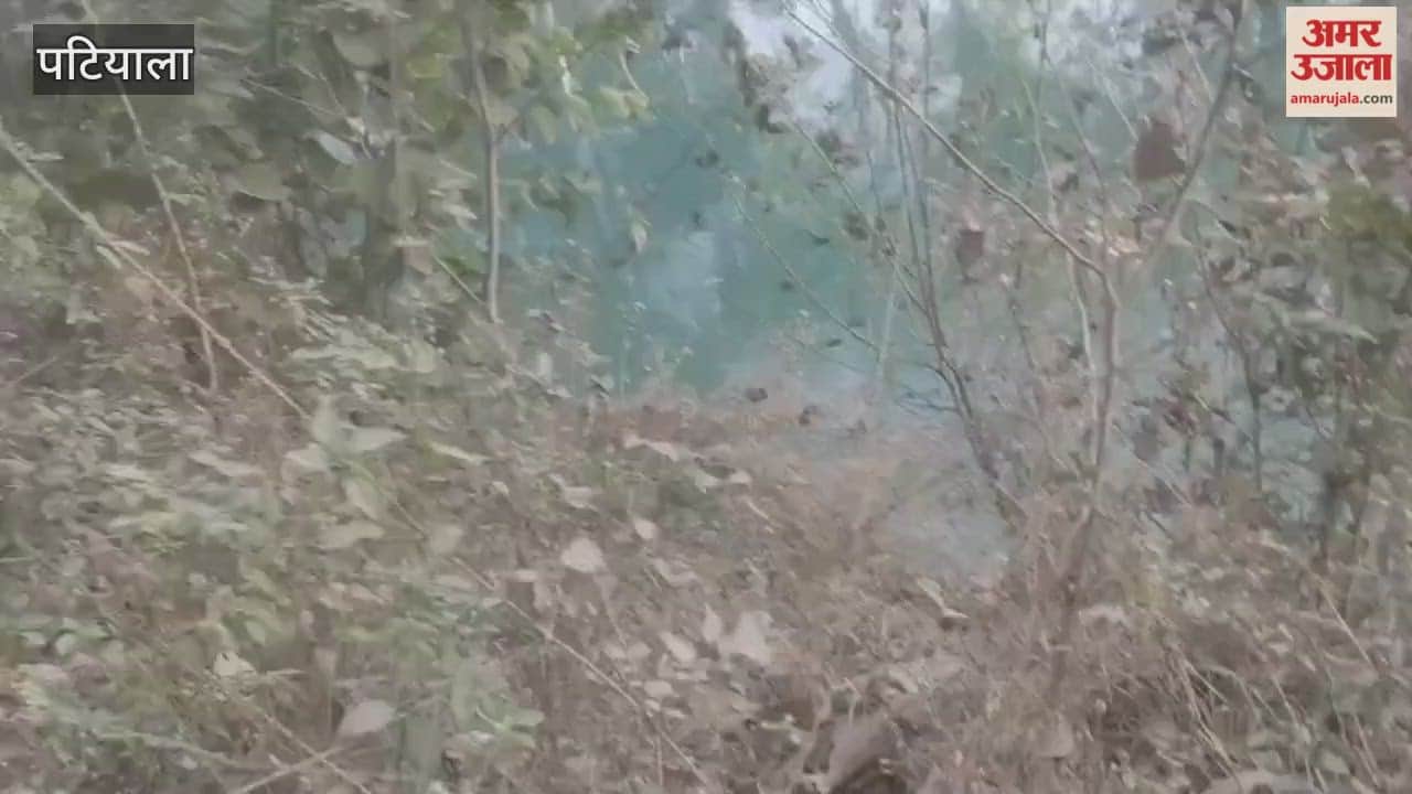 A woman jumped into a canal with her 15-day-old baby in Rajpura