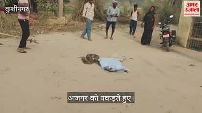 An eight-foot-long python was found in a bush near the school.