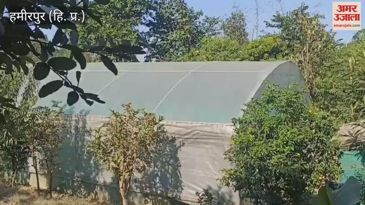 Hamirpur Natural farming changed the lives of Amar Singh and his family