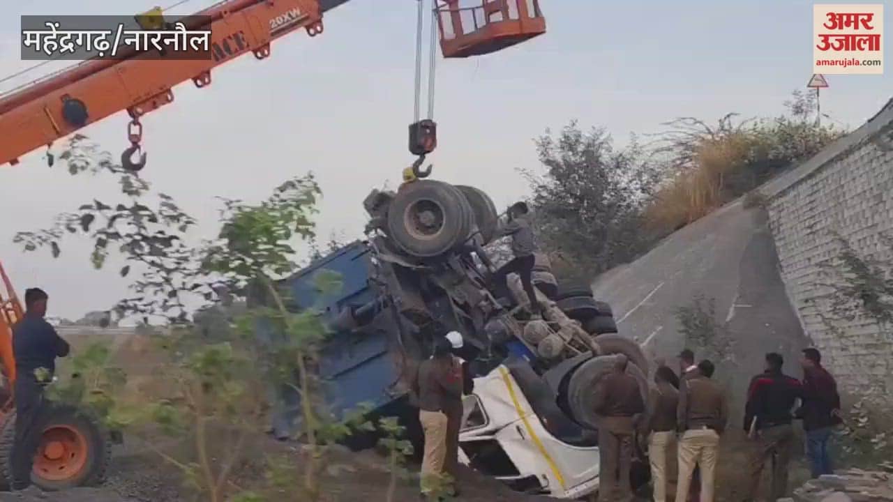 A dumper lost its balance and fell off a flyover on NH 148B in Narnaul, killing the driver.