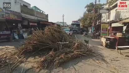 Meerut: Sugarcane fell from truck, two youth injured