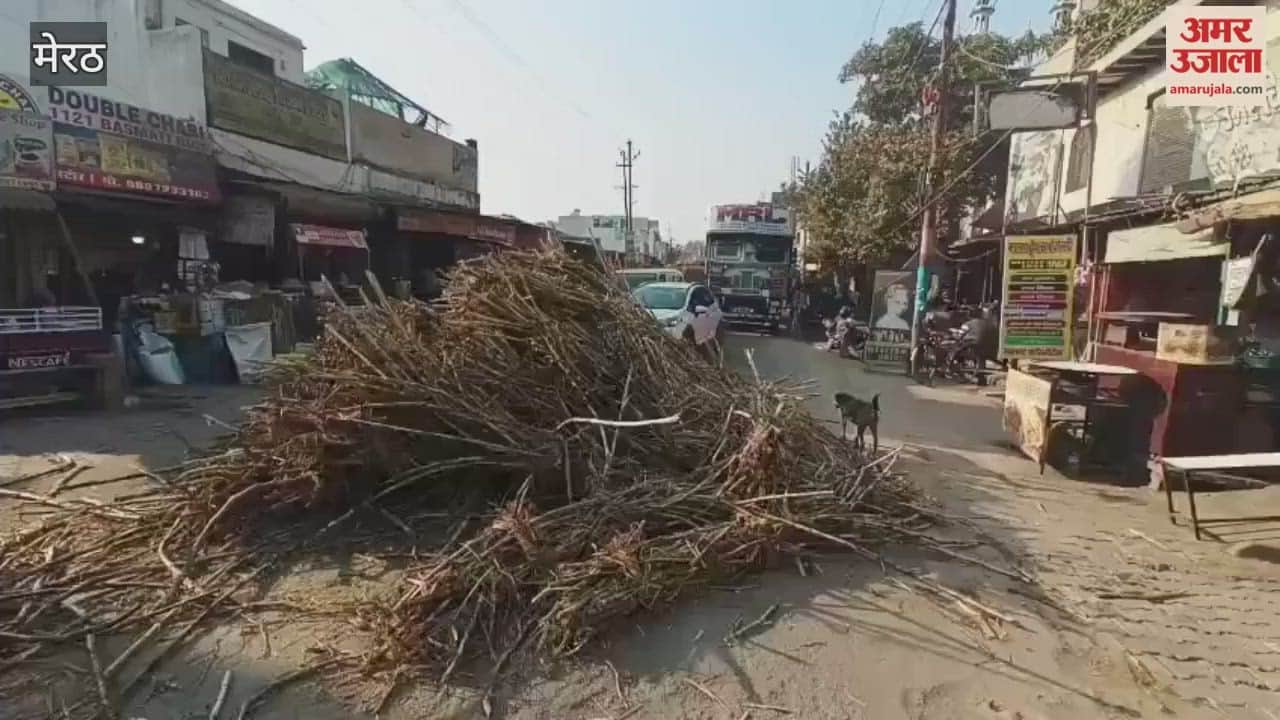 Meerut: Sugarcane fell from truck, two youth injured