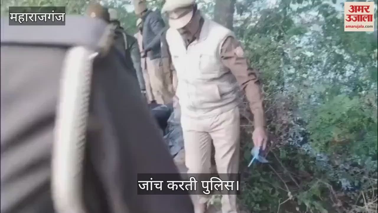 Teenager's body found hanging from a tree, sensation