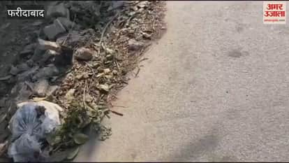 Beautification of the hospital road in Ballabhgarh