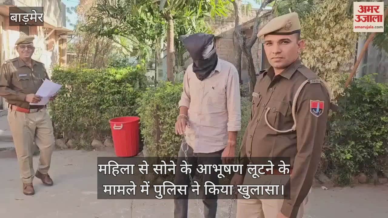 Barmer News: Online gaming addict attacks elderly woman with blade, snatches jewellery, held by police