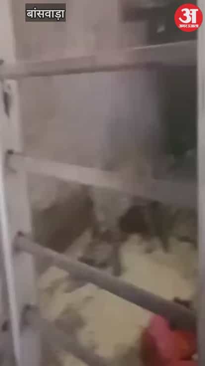 Banswara News: Leopard attacks teen, enters house and collapses; dies after under mysterious circumstances