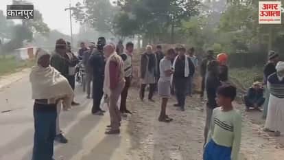 Villagers created a ruckus while cutting down a Peepal tree; the contractor fled upon seeing police