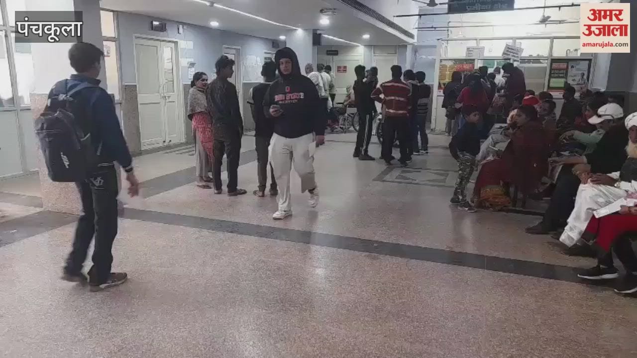 Government doctors' strike in Panchkula Patients at the Civil Hospital are troubled