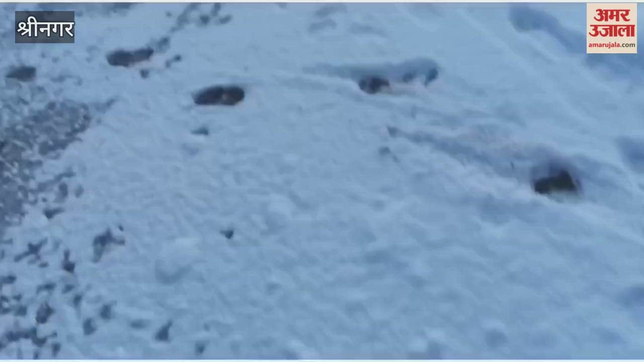 Fresh Snow caped mountains of Golden meadows Sonamarag in district Ganderbal