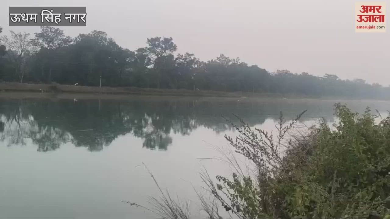 Elephant runs over bike rider in khatima