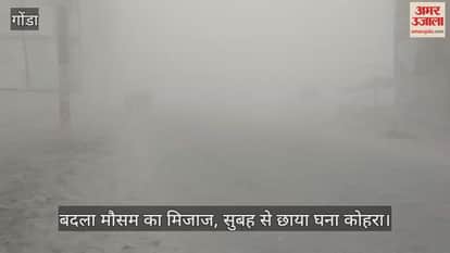 गोंडा में बदला मौसम का मिजाज, सुबह से छाया घना कोहरा... सड़कों पर रेंगते रहे वाहन