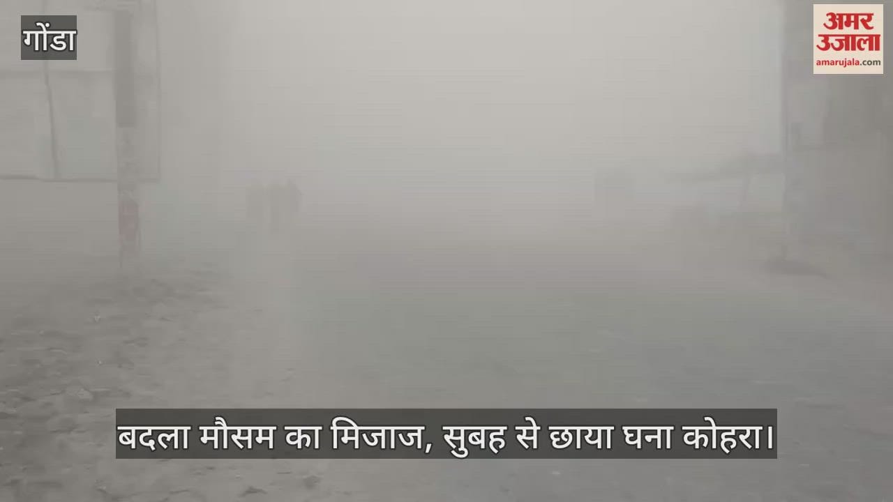 गोंडा में बदला मौसम का मिजाज, सुबह से छाया घना कोहरा... सड़कों पर रेंगते रहे वाहन