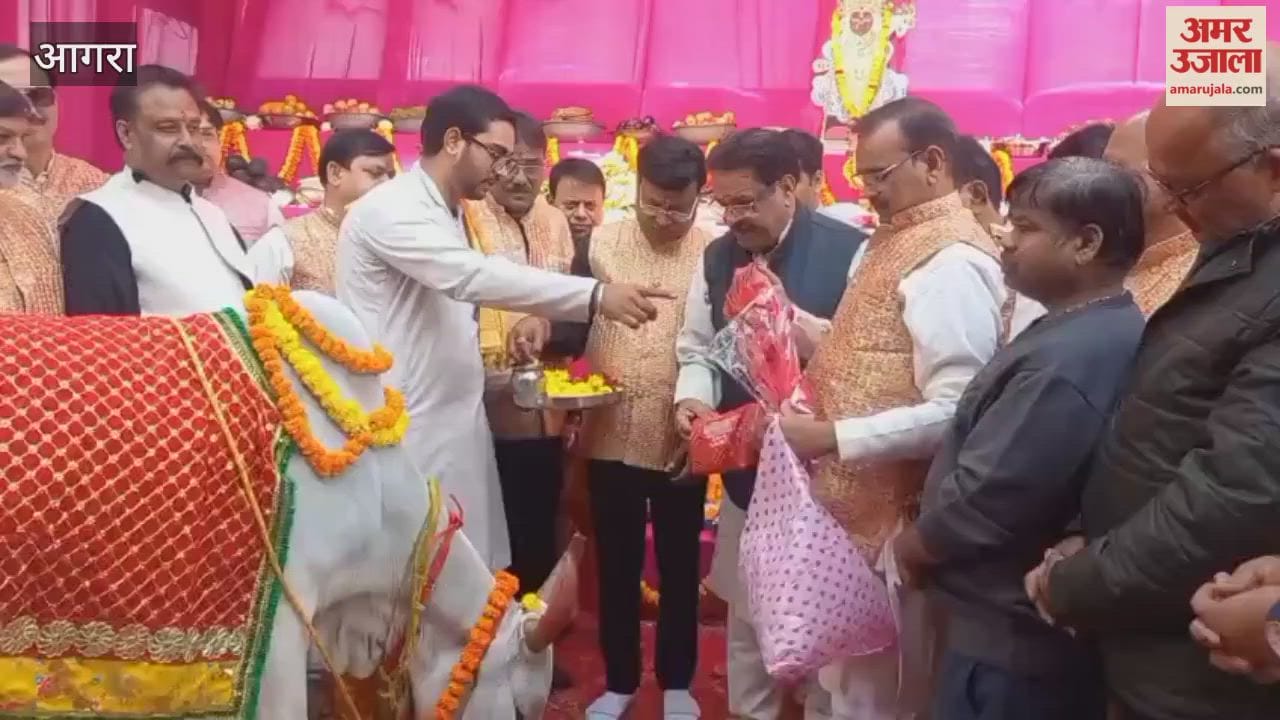 Chhappan Bhog Offered to Gaumata at Balkeshwar Gaushala