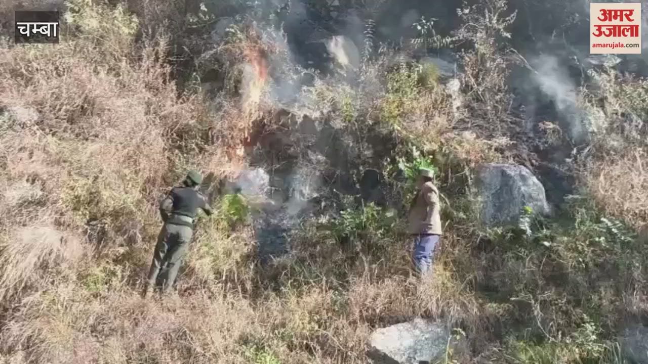 Chamba Miscreants set fire to the forest in Bhalka forest beat