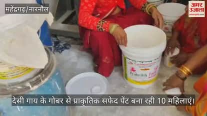 10 women are making natural white paint from indigenous cow dung